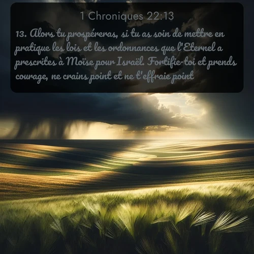 Segond 1 Chroniques  ; image nature: image avec le verset biblique :Alors tu prospéreras, si tu as soin de mettre en pratique les lois et les ordonnances que l&#039;Eternel a prescrites à Moïse pour Israël. Fortifie-toi et prends courage, ne crains point et ne t&#039;effraie point. ;  ; 22:13