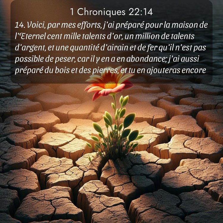 image nature avec verset biblique de la Bible