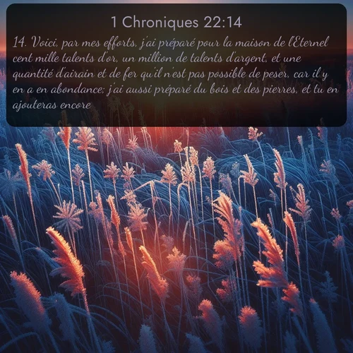 Segond 1 Chroniques  ; image nature: image avec le verset biblique :Voici, par mes efforts, j&#039;ai préparé pour la maison de l&#039;Eternel cent mille talents d&#039;or, un million de talents d&#039;argent, et une quantité d&#039;airain et de fer qu&#039;il n&#039;est pas possible de peser, car il y en a en abondance; j&#039;ai aussi préparé du bois et des pierres, et tu en ajouteras encore. ;  ; 22:14