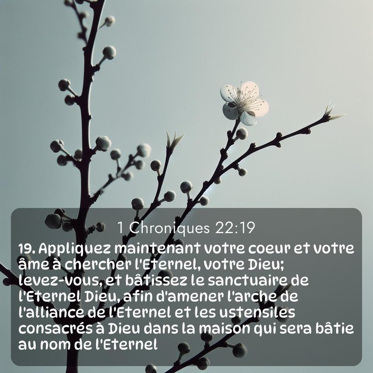image nature avec verset biblique de la Bible