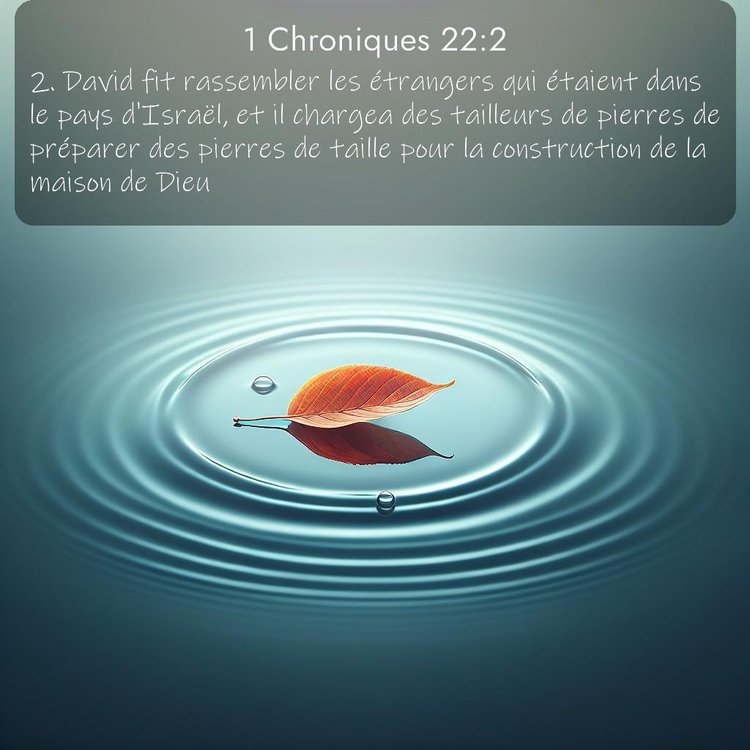 Segond 1 Chroniques 22:2