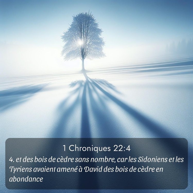 Segond 1 Chroniques 22:4