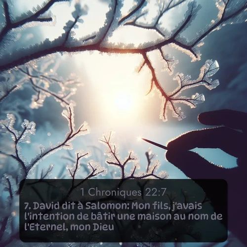 Segond 1 Chroniques  ; image nature: image avec le verset biblique :David dit à Salomon: Mon fils, j&#039;avais l&#039;intention de bâtir une maison au nom de l&#039;Eternel, mon Dieu. ;  ; 22:7