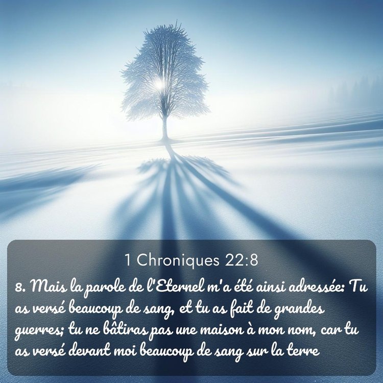 Segond 1 Chroniques 22:8