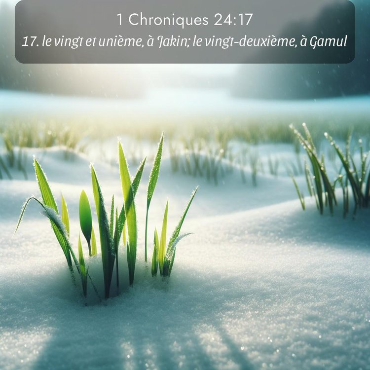 Segond 1 Chroniques 24:17