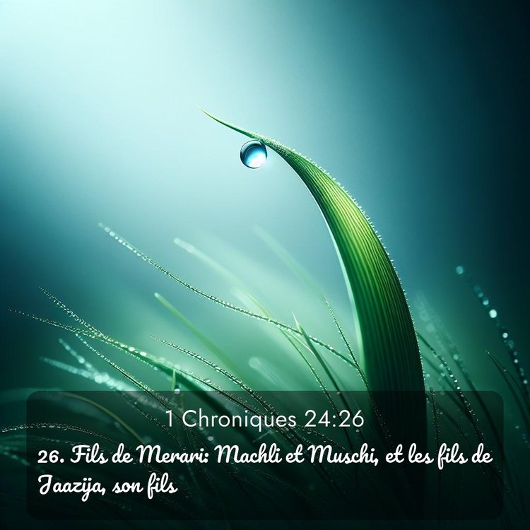 Segond 1 Chroniques 24:26