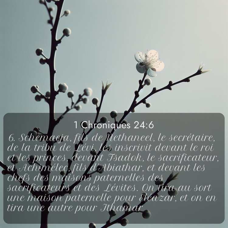 Segond 1 Chroniques 24:6