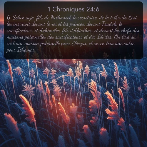 Segond 1 Chroniques  ; image nature: image avec le verset biblique :Schemaeja, fils de Nethaneel, le secrétaire, de la tribu de Lévi, les inscrivit devant le roi et les princes, devant Tsadok, le sacrificateur, et Achimélec, fils d&#039;Abiathar, et devant les chefs des maisons paternelles des sacrificateurs et des Lévites. On tira au sort une maison paternelle pour Eléazar, et on en tira une autre pour Ithamar. ;  ; 24:6