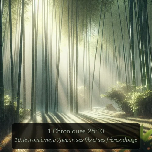 Segond 1 Chroniques  ; image nature: image avec le verset biblique :le troisième, à Zaccur, ses fils et ses frères, douze; ;  ; 25:10