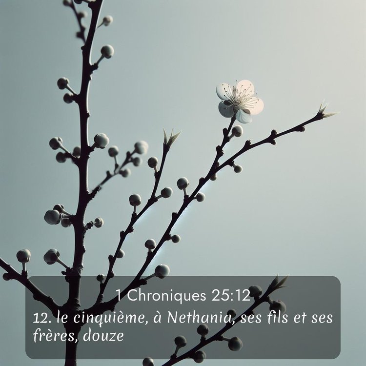 image nature avec verset biblique de la Bible