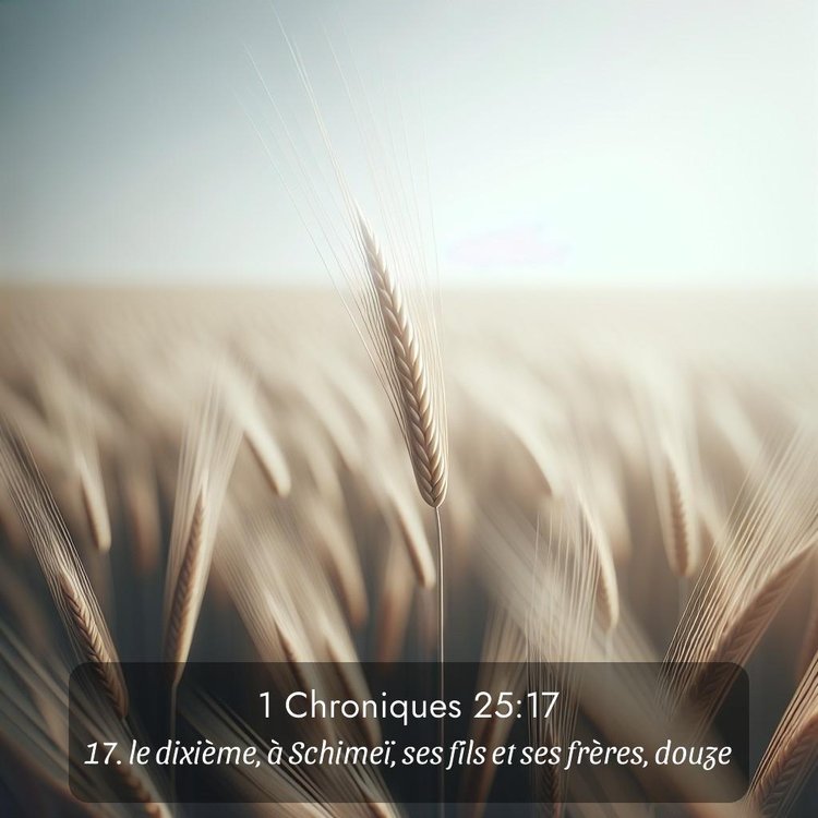 Segond 1 Chroniques 25:17