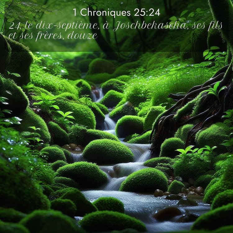 Segond 1 Chroniques 25:24