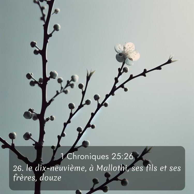 Segond 1 Chroniques 25:26