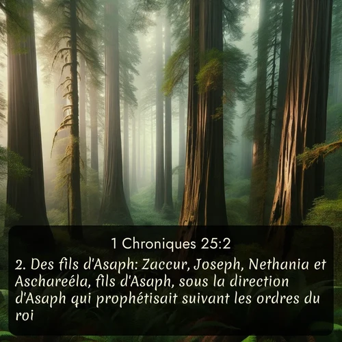 Segond 1 Chroniques  ; image nature: image avec le verset biblique :Des fils d&#039;Asaph: Zaccur, Joseph, Nethania et Aschareéla, fils d&#039;Asaph, sous la direction d&#039;Asaph qui prophétisait suivant les ordres du roi. ;  ; 25:2