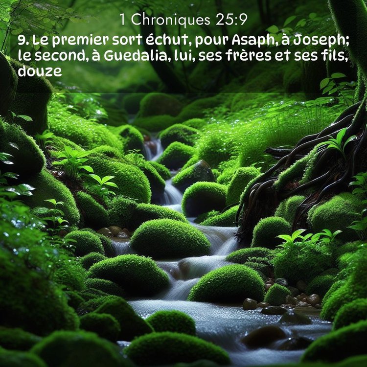 Segond 1 Chroniques 25:9