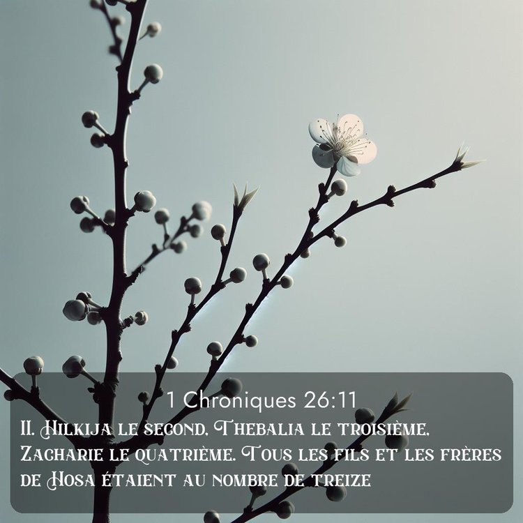 Segond 1 Chroniques 26:11