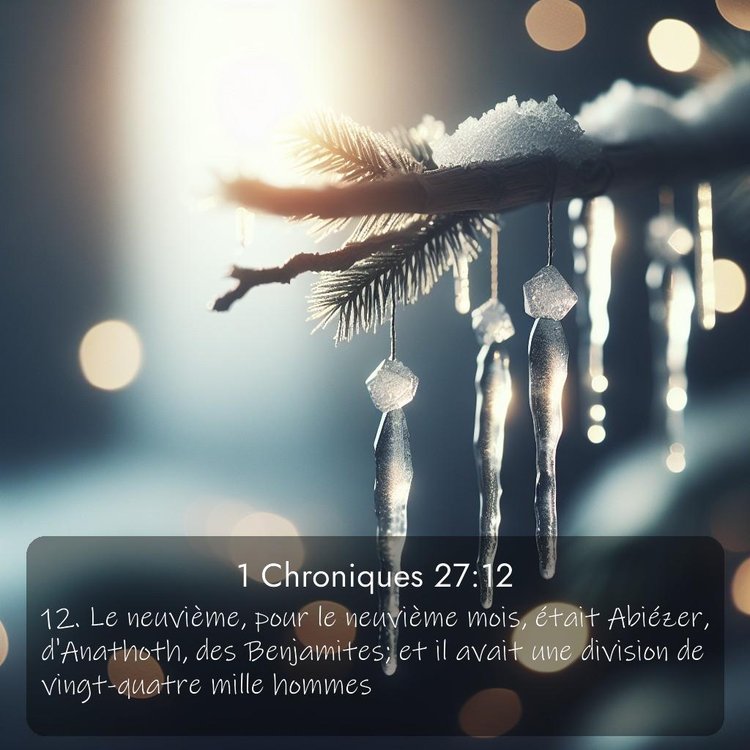 Segond 1 Chroniques 27:12