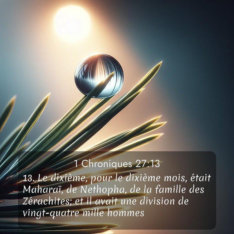 Segond 1 Chroniques 27:13