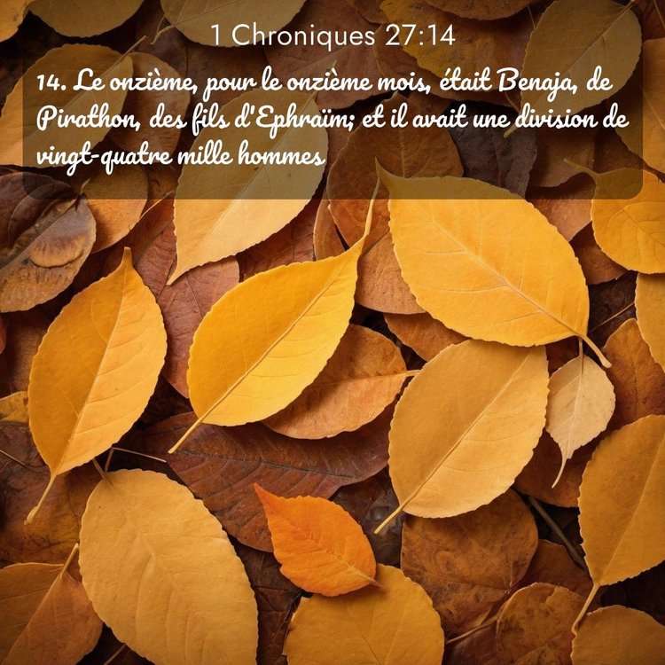 Segond 1 Chroniques 27:14