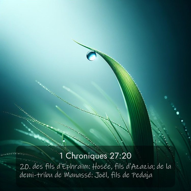 Segond 1 Chroniques 27:20