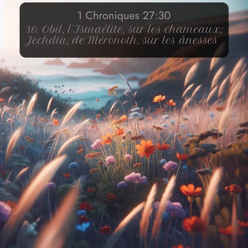 Segond 1 Chroniques  ; image nature: image avec le verset biblique :Obil, l&#039;Ismaélite, sur les chameaux; Jechdia, de Méronoth, sur les ânesses; ;  ; 27:30