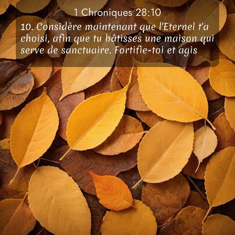 Segond 1 Chroniques 28:10