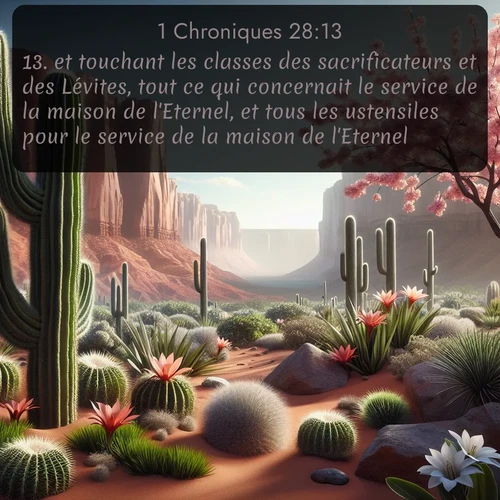 Segond 1 Chroniques  ; image nature: image avec le verset biblique :et touchant les classes des sacrificateurs et des Lévites, tout ce qui concernait le service de la maison de l&#039;Eternel, et tous les ustensiles pour le service de la maison de l&#039;Eternel. ;  ; 28:13