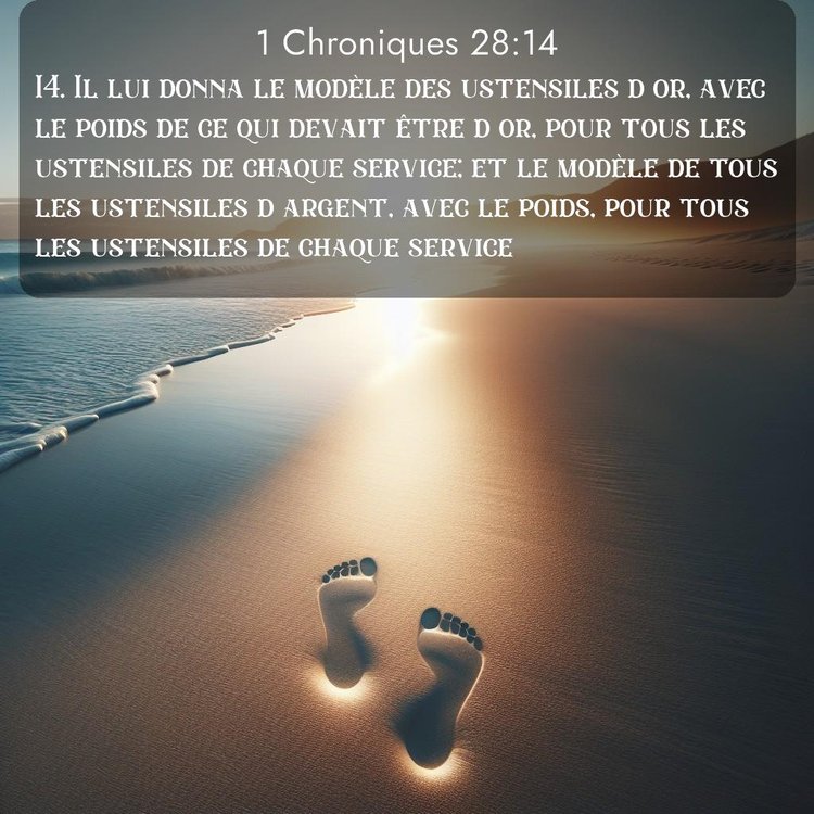 Segond 1 Chroniques 28:14