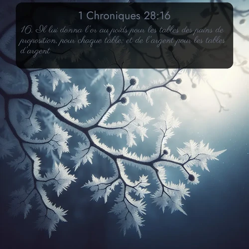 Segond 1 Chroniques  ; image nature: image avec le verset biblique :Il lui donna l&#039;or au poids pour les tables des pains de proposition, pour chaque table; et de l&#039;argent pour les tables d&#039;argent. ;  ; 28:16
