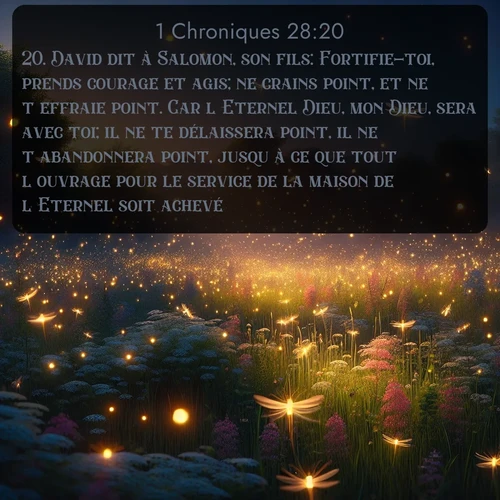 Segond 1 Chroniques  ; image nature: image avec le verset biblique :David dit à Salomon, son fils: Fortifie-toi, prends courage et agis; ne crains point, et ne t&#039;effraie point. Car l&#039;Eternel Dieu, mon Dieu, sera avec toi; il ne te délaissera point, il ne t&#039;abandonnera point, jusqu&#039;à ce que tout l&#039;ouvrage pour le service de la maison de l&#039;Eternel soit achevé. ;  ; 28:20