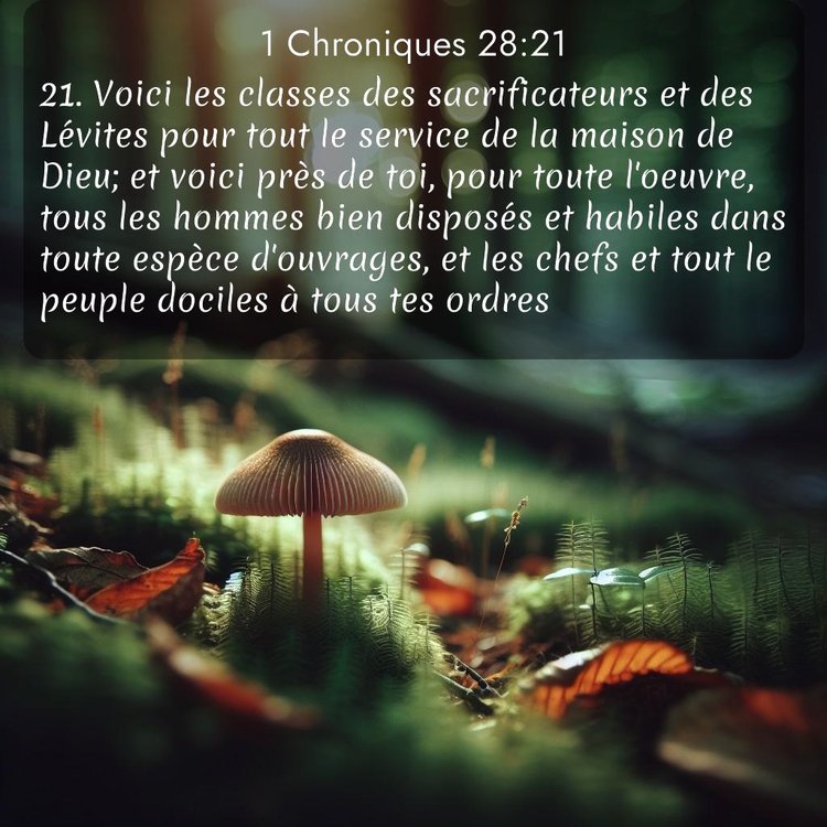 Segond 1 Chroniques 28:21