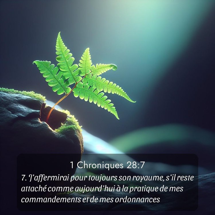 Segond 1 Chroniques 28:7