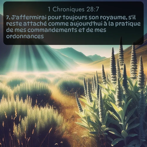 Segond 1 Chroniques  ; image nature: image avec le verset biblique :J&#039;affermirai pour toujours son royaume, s&#039;il reste attaché comme aujourd&#039;hui à la pratique de mes commandements et de mes ordonnances. ;  ; 28:7