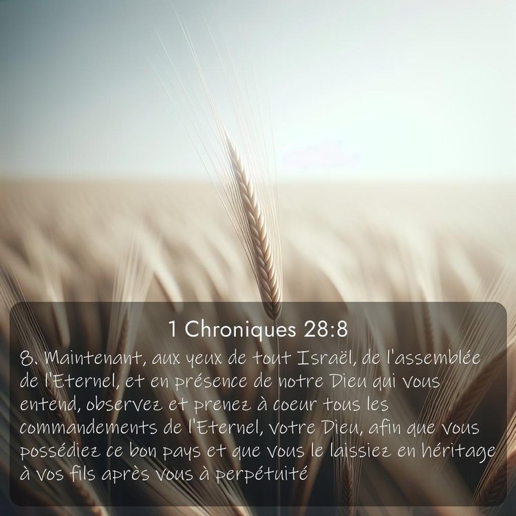 Segond 1 Chroniques 28:8