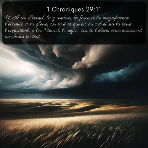 Segond 1 Chroniques  ; image nature: image avec le verset biblique :A toi, Eternel, la grandeur, la force et la magnificence, l&#039;éternité et la gloire, car tout ce qui est au ciel et sur la terre t&#039;appartient; à toi, Eternel, le règne, car tu t&#039;élèves souverainement au-dessus de tout! ;  ; 29:11