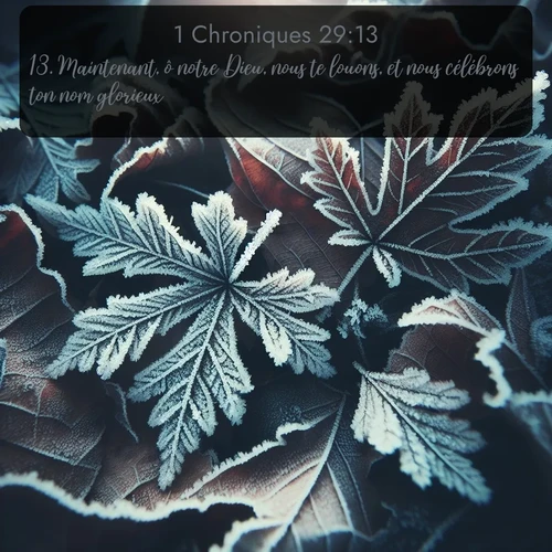 Segond 1 Chroniques  ; image nature: image avec le verset biblique :Maintenant, ô notre Dieu, nous te louons, et nous célébrons ton nom glorieux. ;  ; 29:13