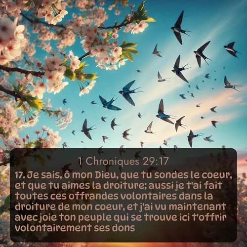 Segond 1 Chroniques  ; image nature: image avec le verset biblique :Je sais, ô mon Dieu, que tu sondes le coeur, et que tu aimes la droiture; aussi je t&#039;ai fait toutes ces offrandes volontaires dans la droiture de mon coeur, et j&#039;ai vu maintenant avec joie ton peuple qui se trouve ici t&#039;offrir volontairement ses dons. ;  ; 29:17