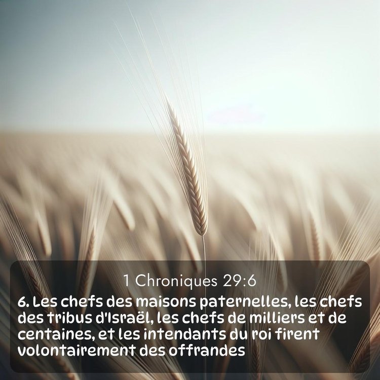 Segond 1 Chroniques 29:6