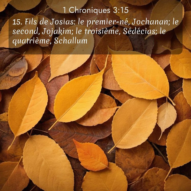 Segond 1 Chroniques 3:15