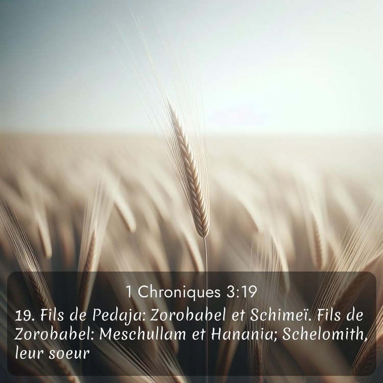 Segond 1 Chroniques 3:19