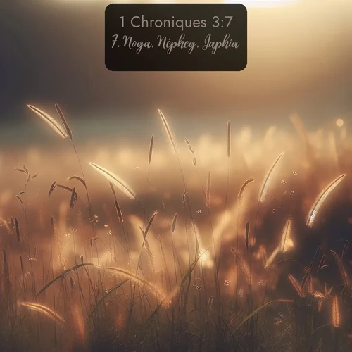 Segond 1 Chroniques  ; image nature: image avec le verset biblique :Noga, Népheg, Japhia, ;  ; 3:7
