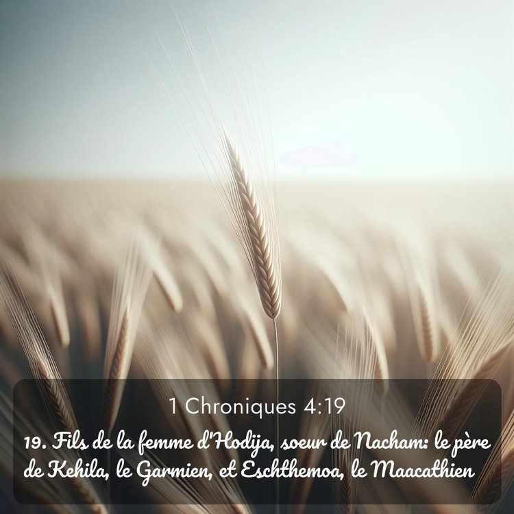 Segond 1 Chroniques 4:19