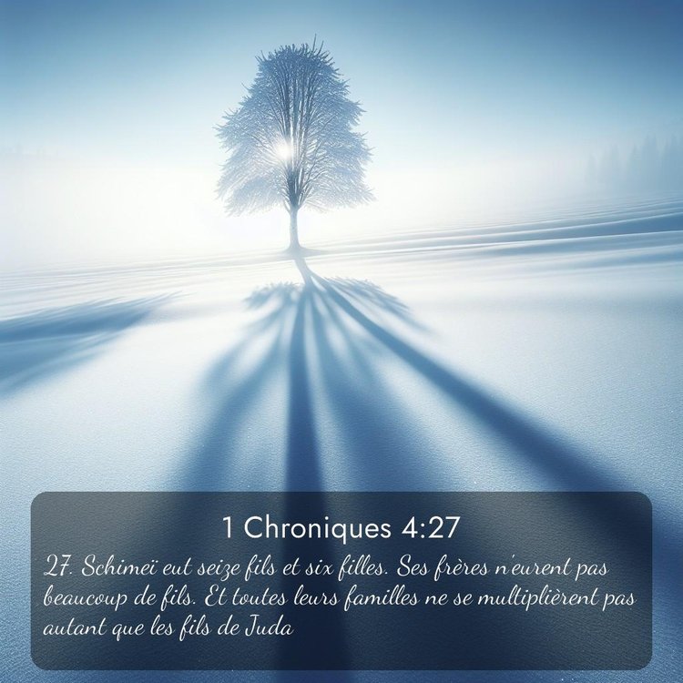 Segond 1 Chroniques 4:27