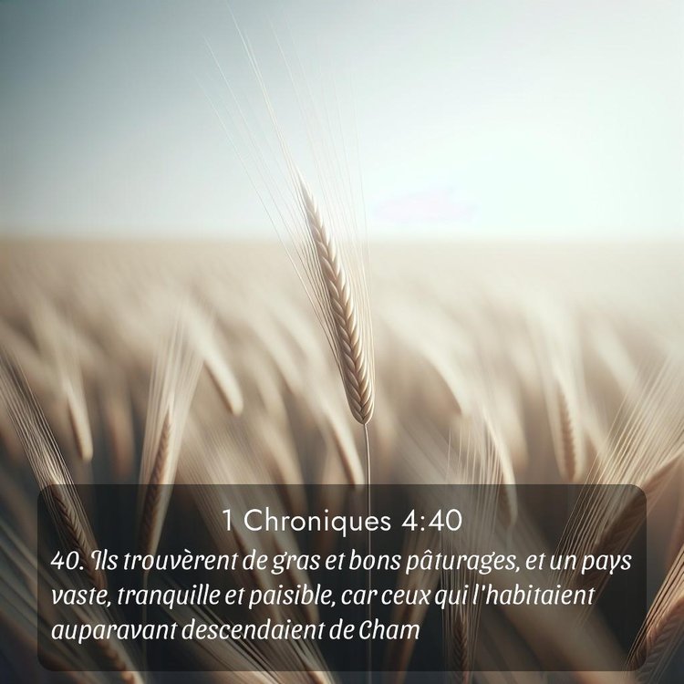 Segond 1 Chroniques 4:40