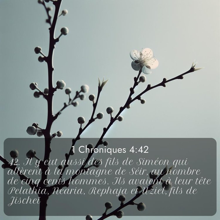 Segond 1 Chroniques 4:42