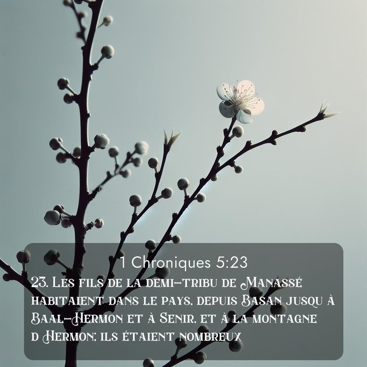 Segond 1 Chroniques 5:23