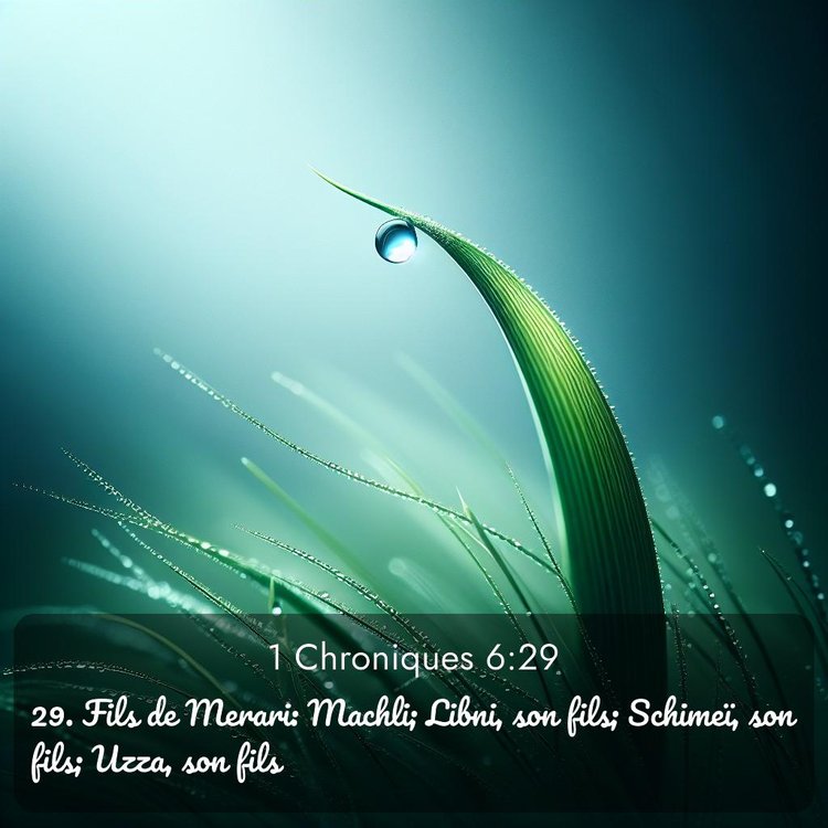 Segond 1 Chroniques 6:29