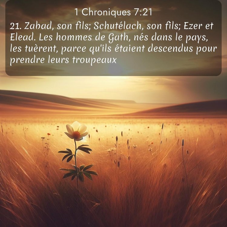 Segond 1 Chroniques 7:21