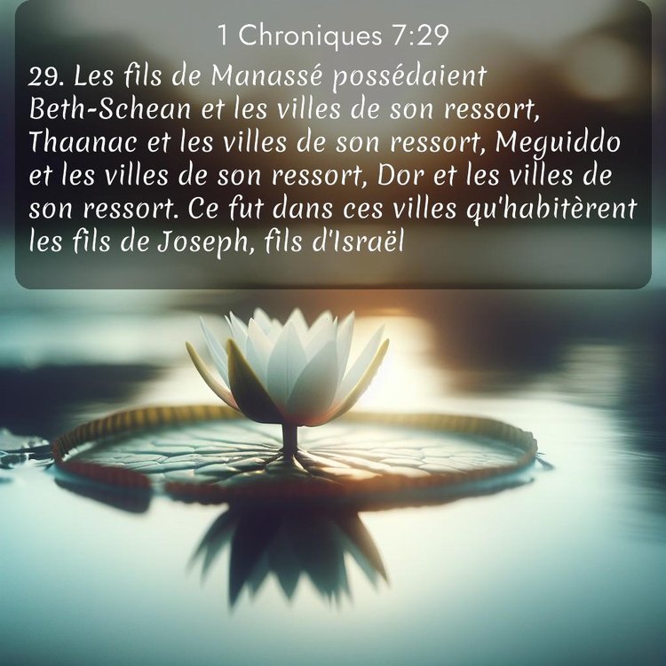 Segond 1 Chroniques 7:29