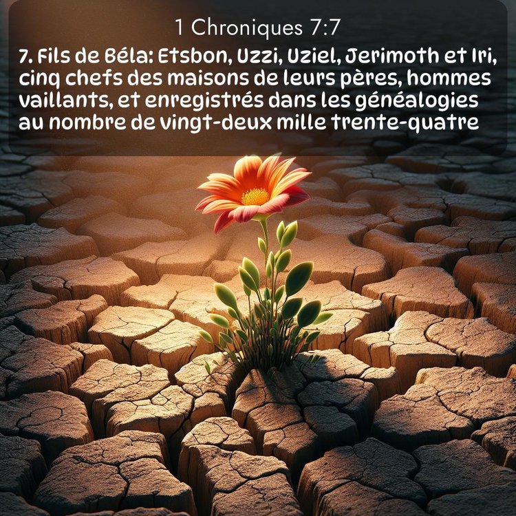 Segond 1 Chroniques 7:7